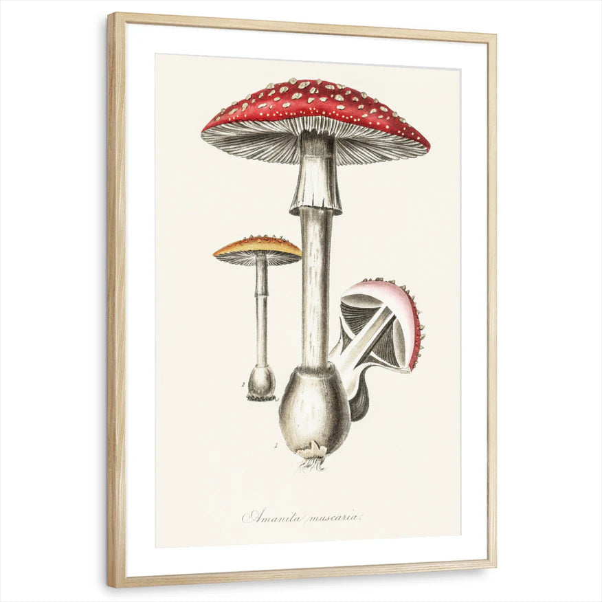 framed-print-natural-wood-matted