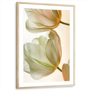 framed-print-natural-wood-matted