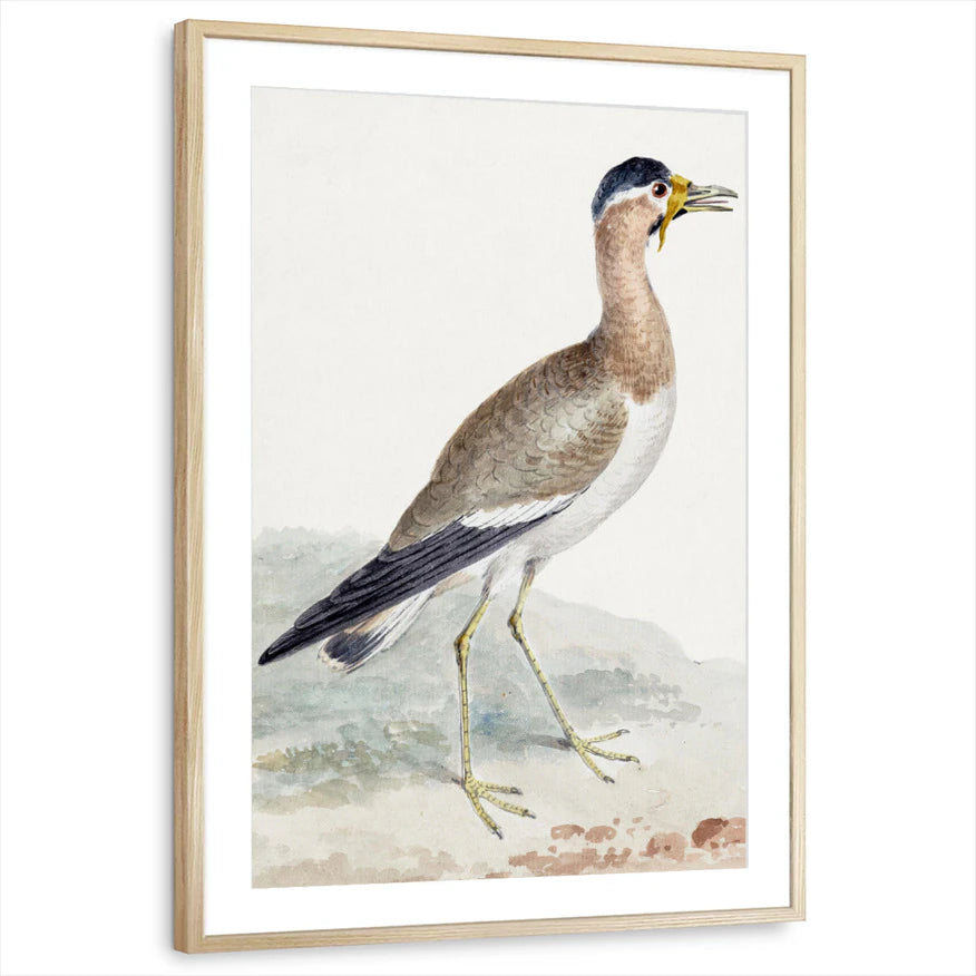 framed-print-natural-wood-matted