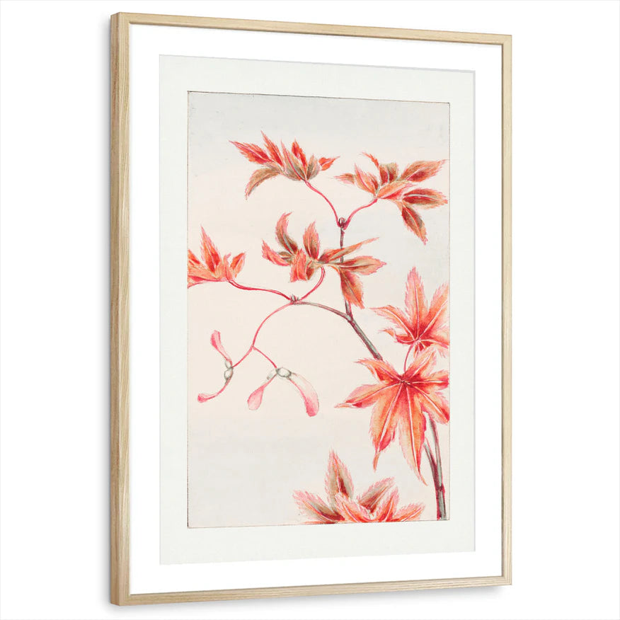 framed-print-natural-wood-matted