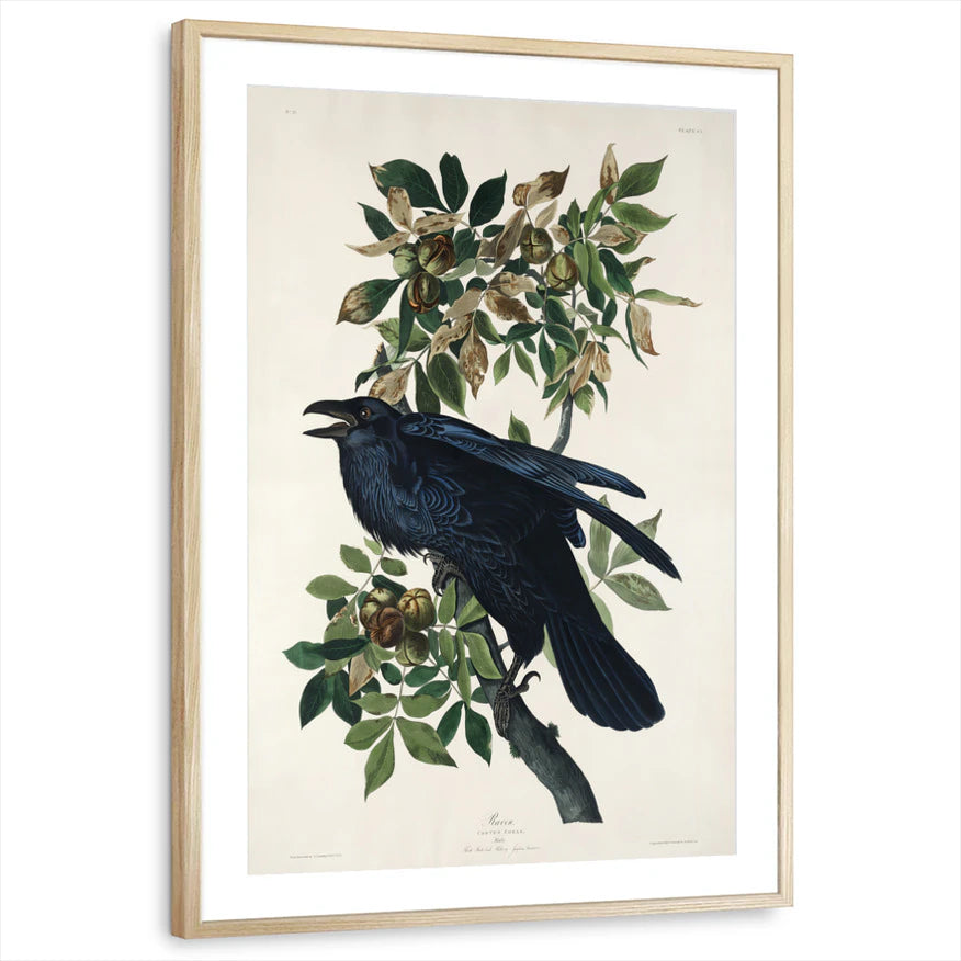 framed-print-natural-wood-matted
