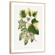 framed-print-natural-wood-matted