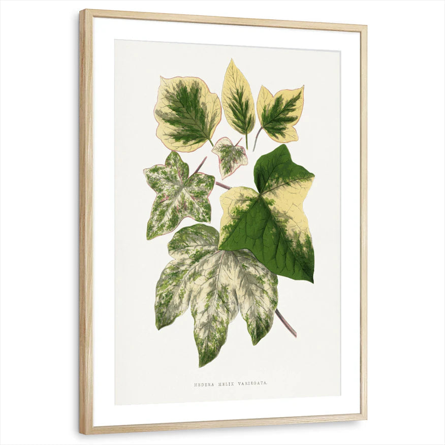 framed-print-natural-wood-matted