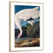 framed-print-natural-wood-matted