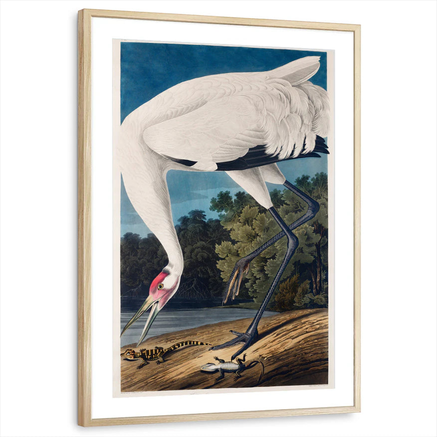 framed-print-natural-wood-matted