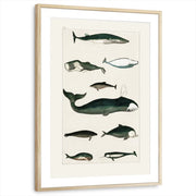 framed-print-natural-wood-matted
