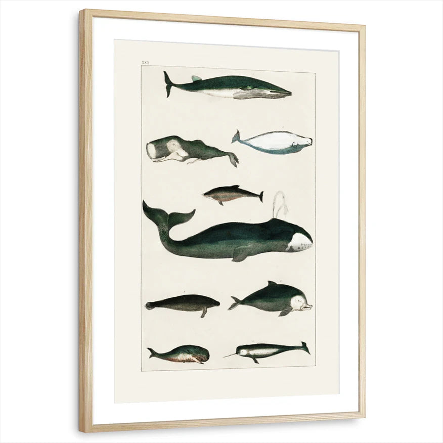 framed-print-natural-wood-matted