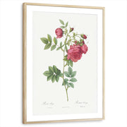 framed-print-natural-wood-matted