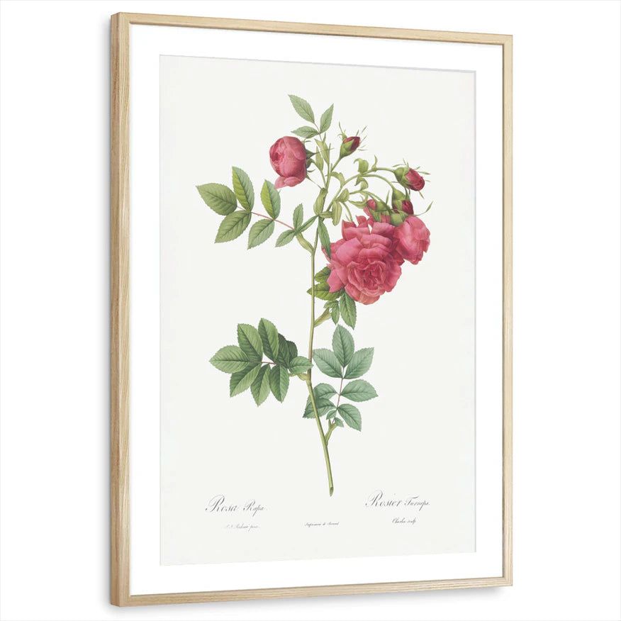 framed-print-natural-wood-matted
