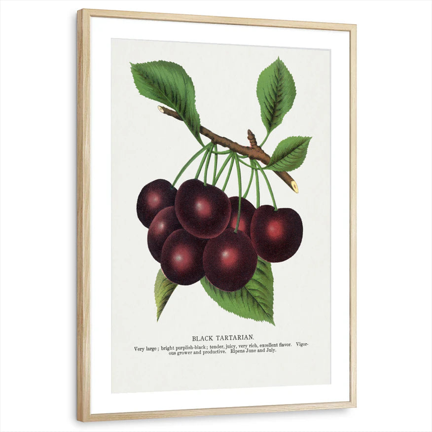 framed-print-natural-wood-matted