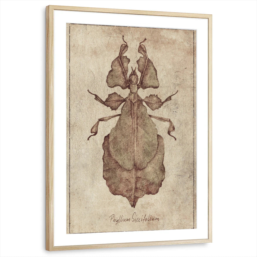 framed-print-natural-wood-matted