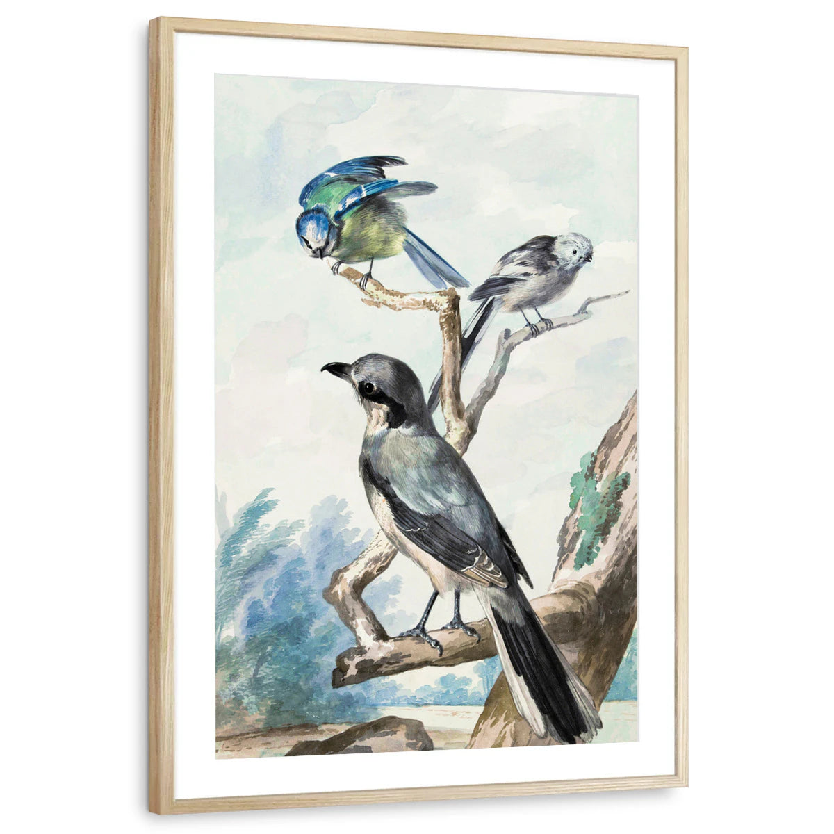 framed-print-natural-wood-matted