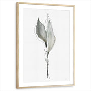 framed-print-natural-wood-matted