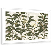 framed-print-white-matted