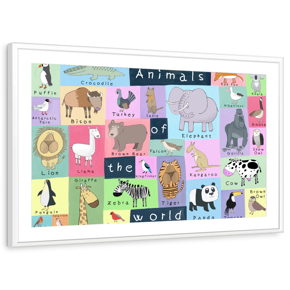 framed-print-white-matted