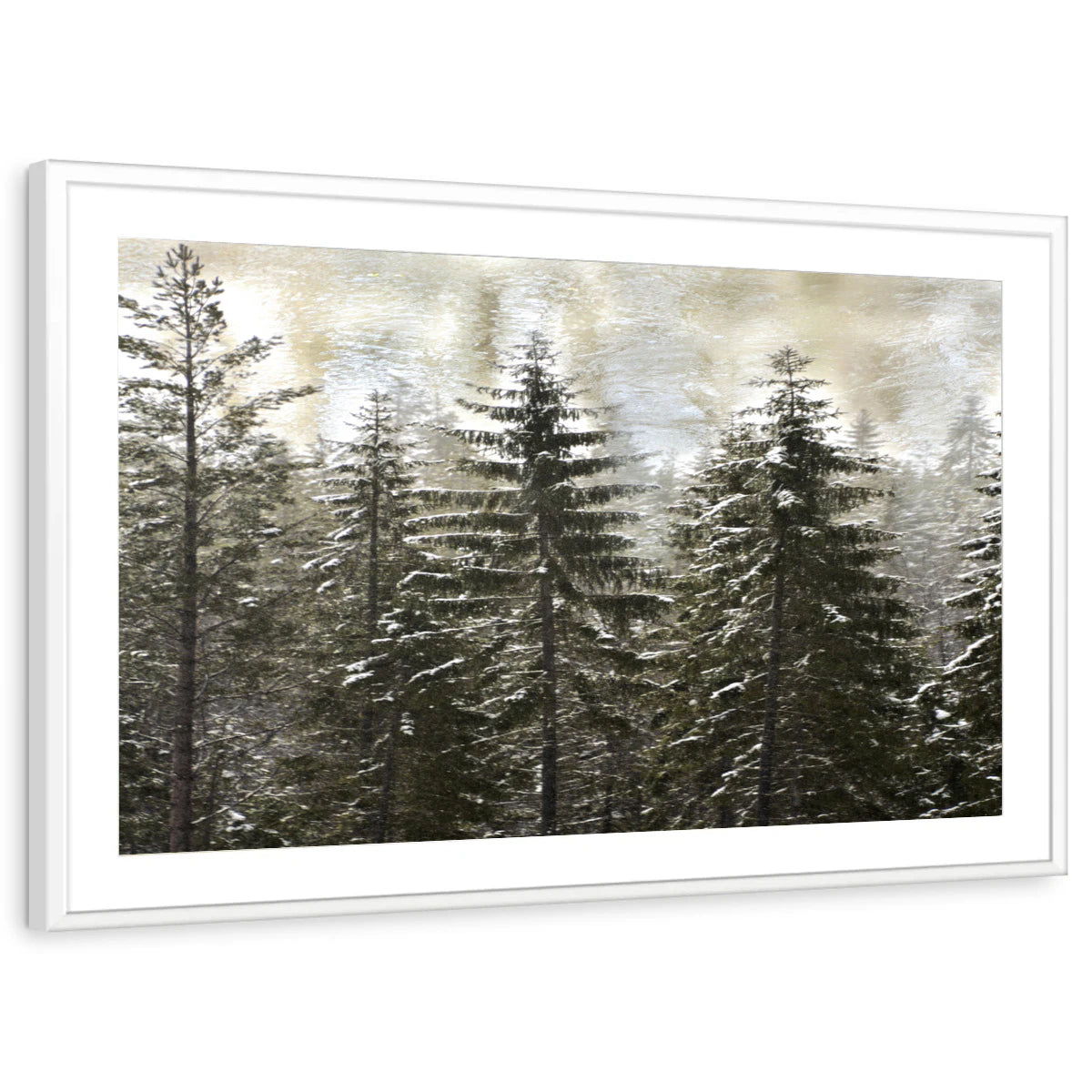 framed-print-white-matted