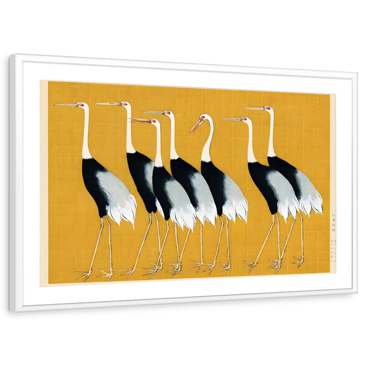 framed-print-white-matted