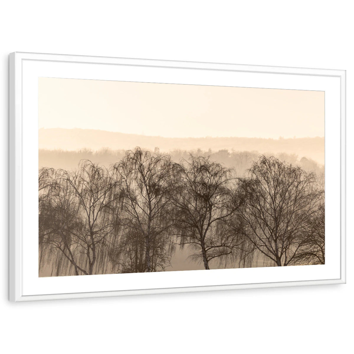 framed-print-white-matted