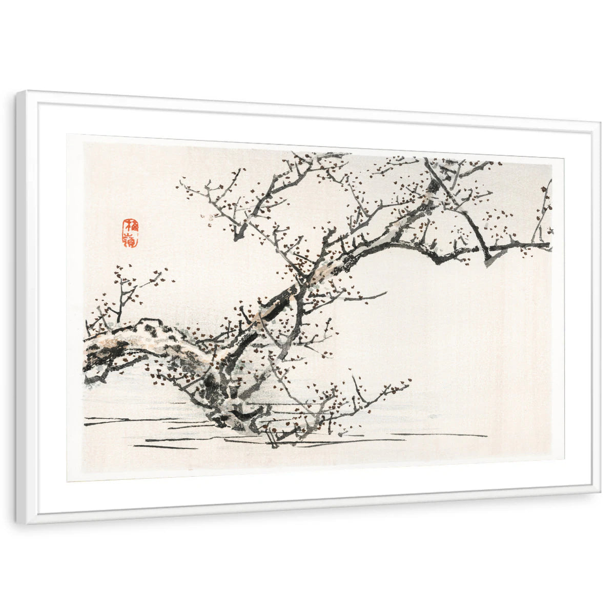 framed-print-white-matted