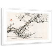 framed-print-white-matted