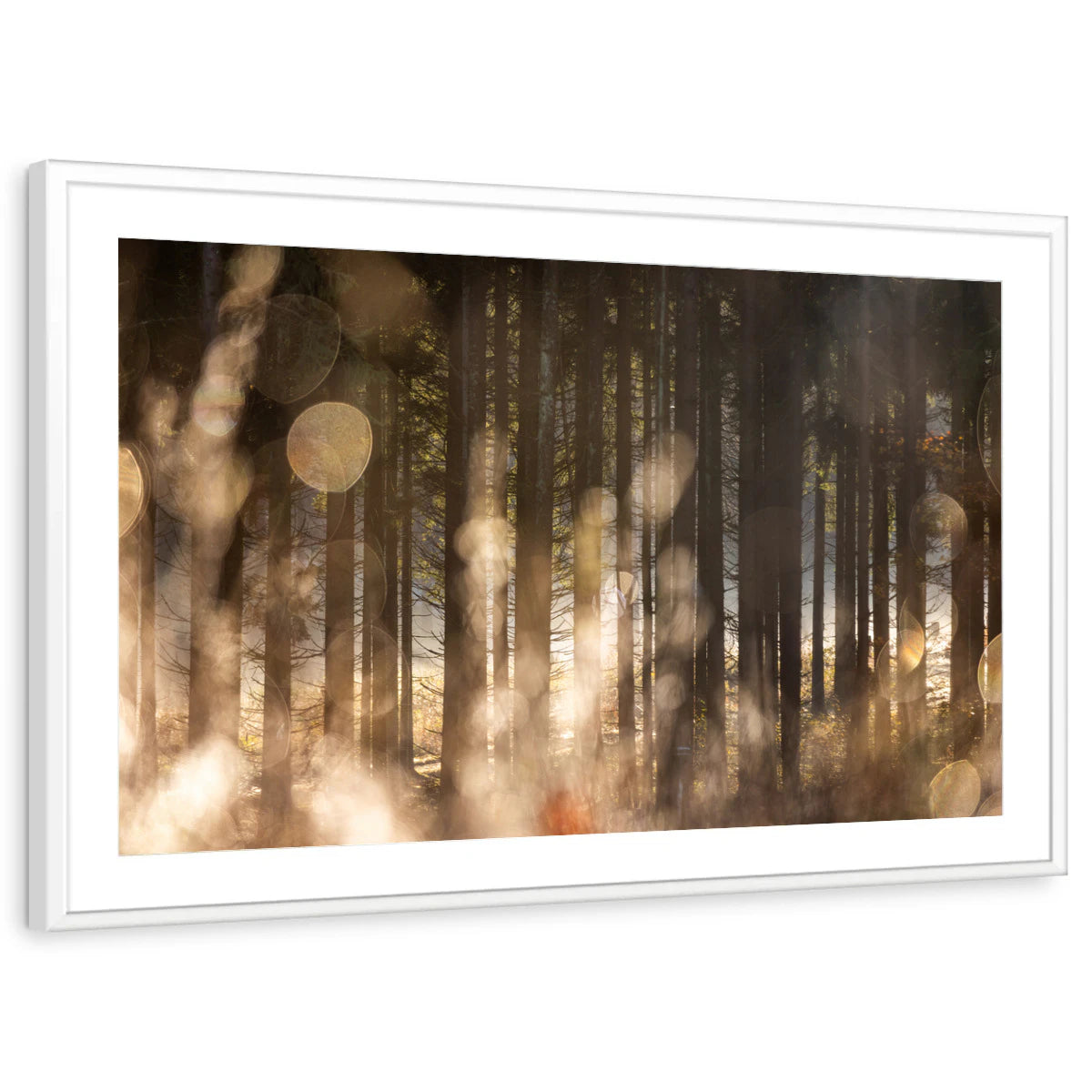 framed-print-white-matted