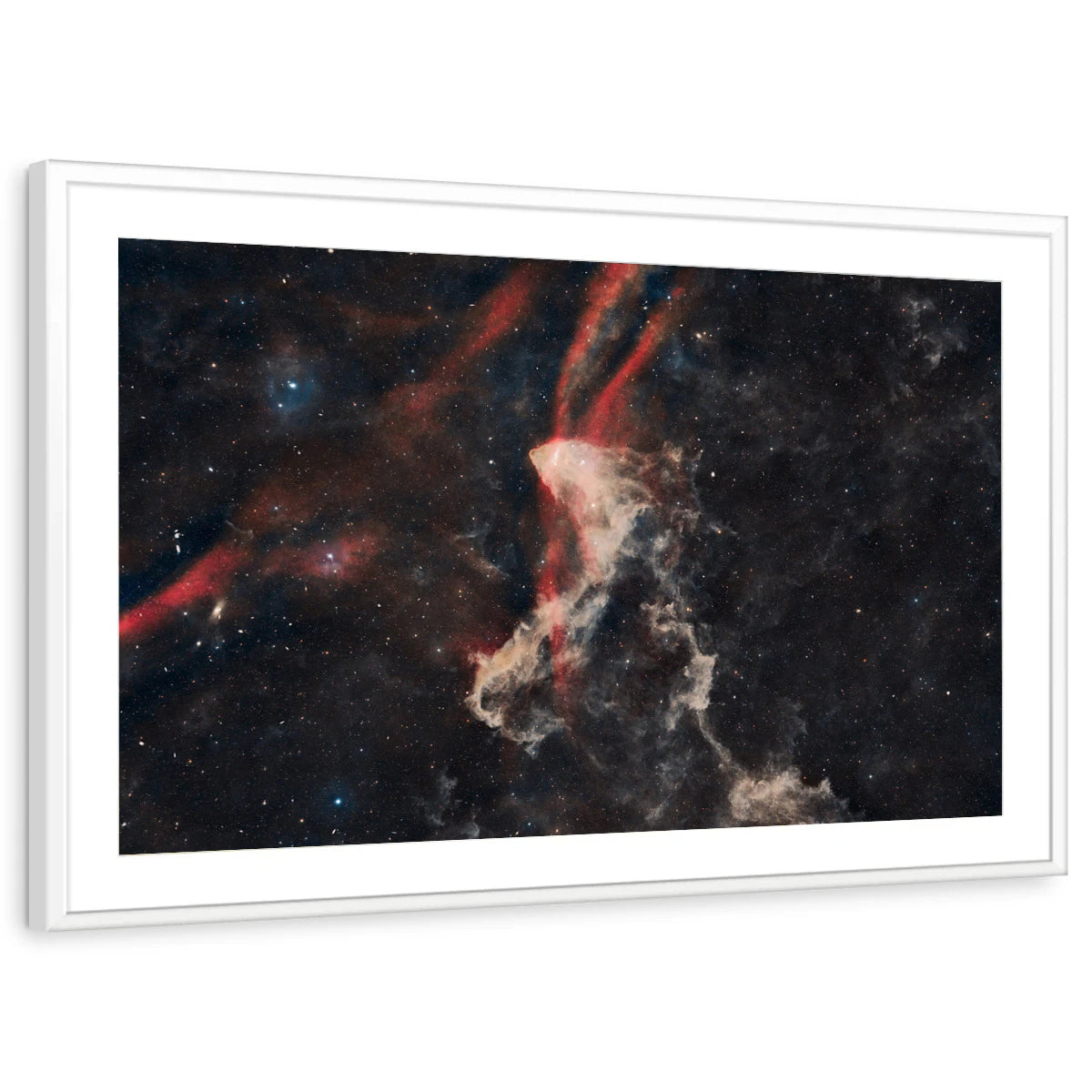 framed-print-white-matted