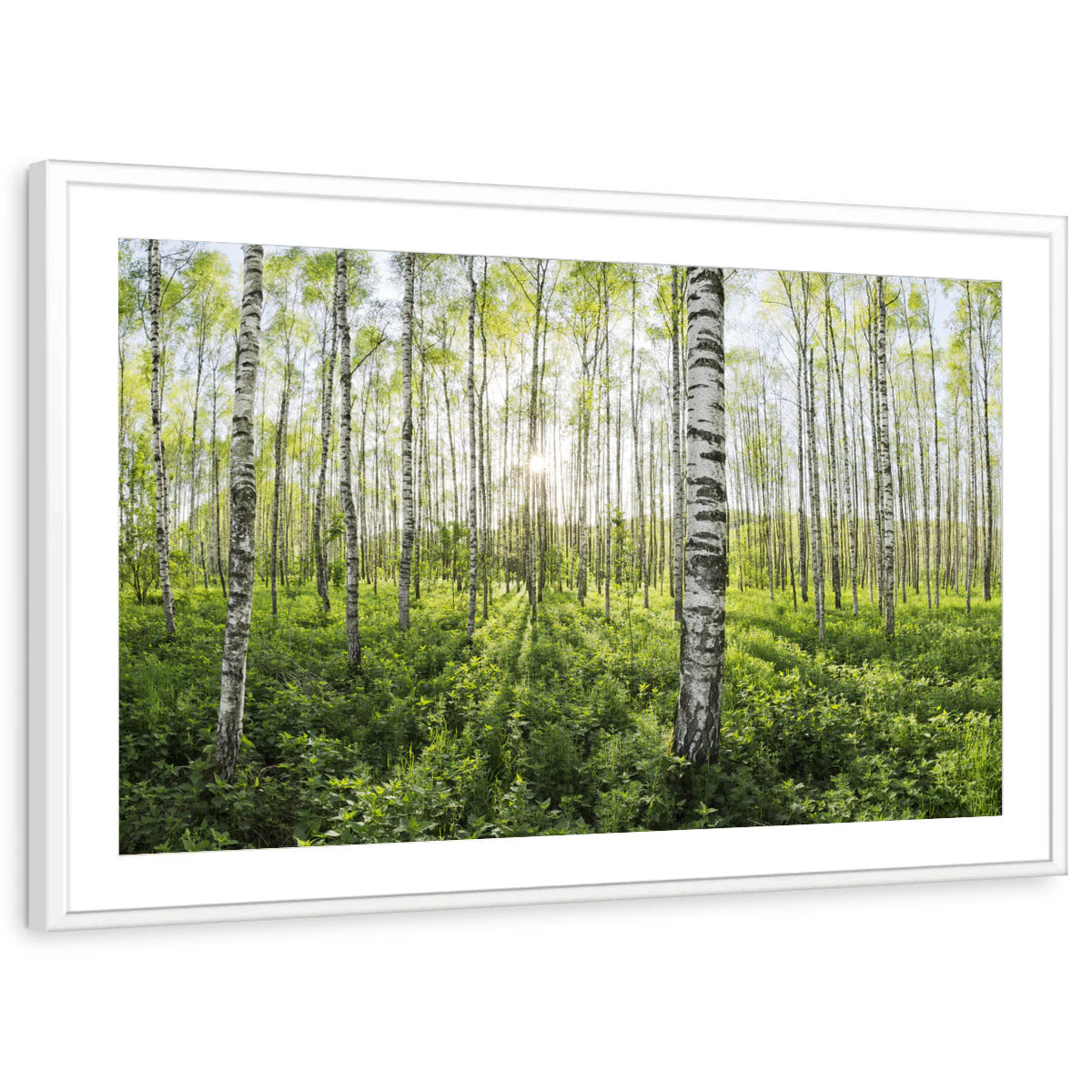 framed-print-white-matted
