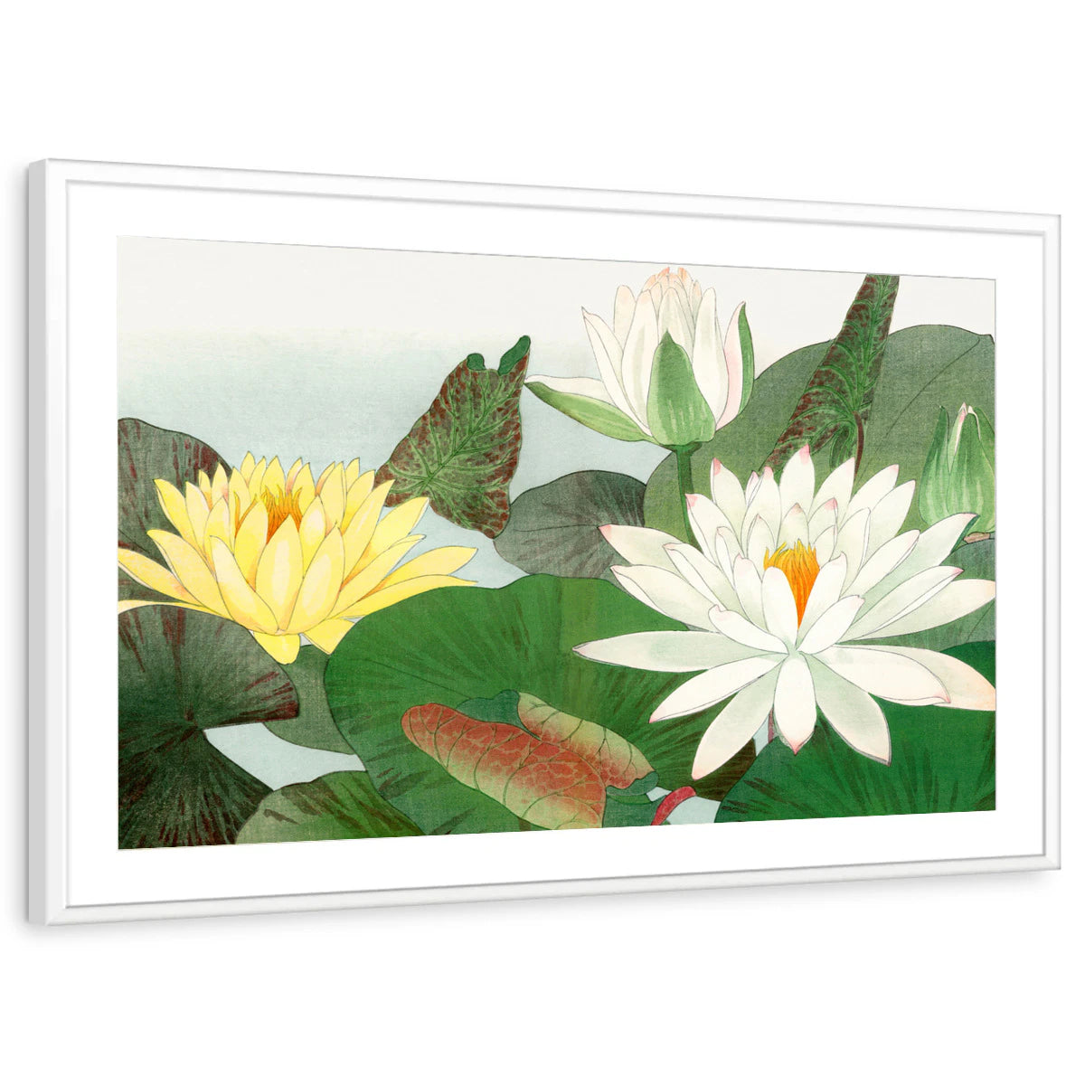 framed-print-white-matted