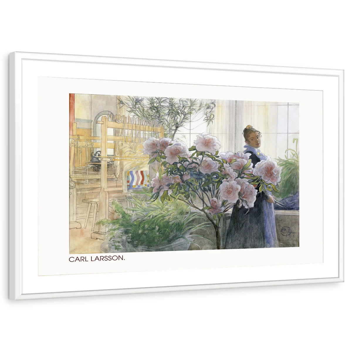 framed-print-white-matted