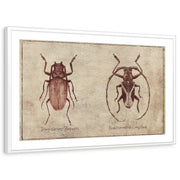 framed-print-white-matted