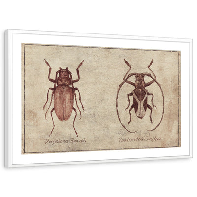 framed-print-white-matted