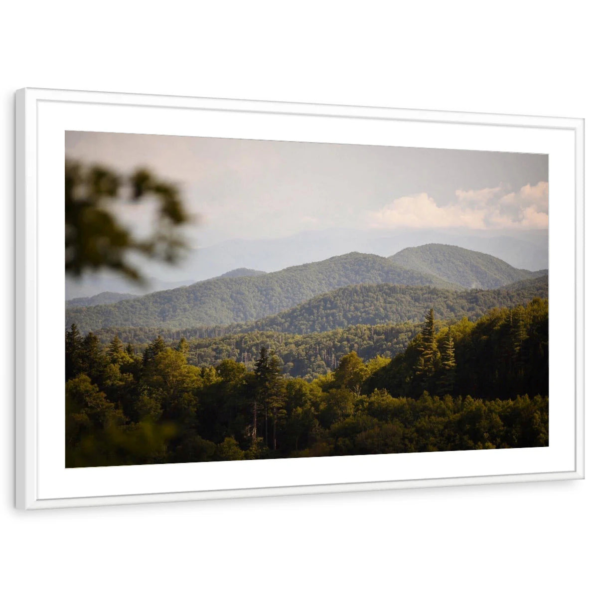 framed-print-white-matted