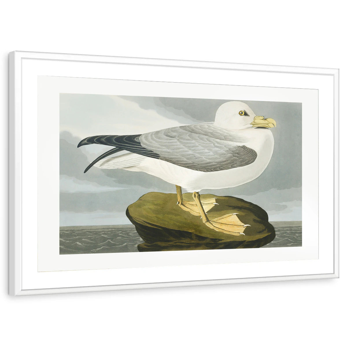 framed-print-white-matted