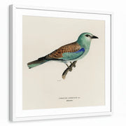 framed-print-white-white-border