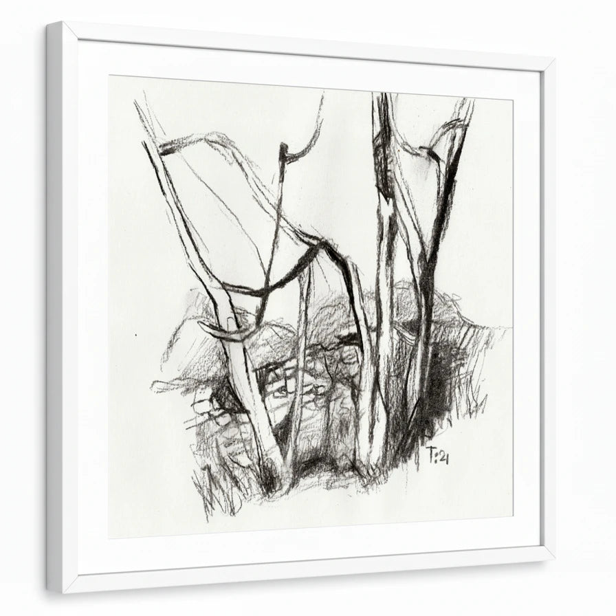 framed-print-white-white-border