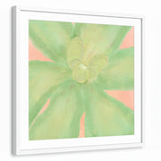 framed-print-white-white-border