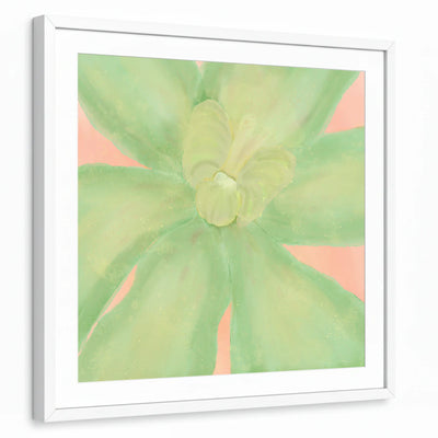 framed-print-white-white-border