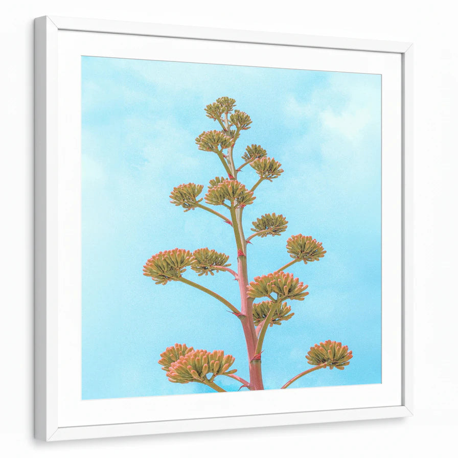 framed-print-white-white-border