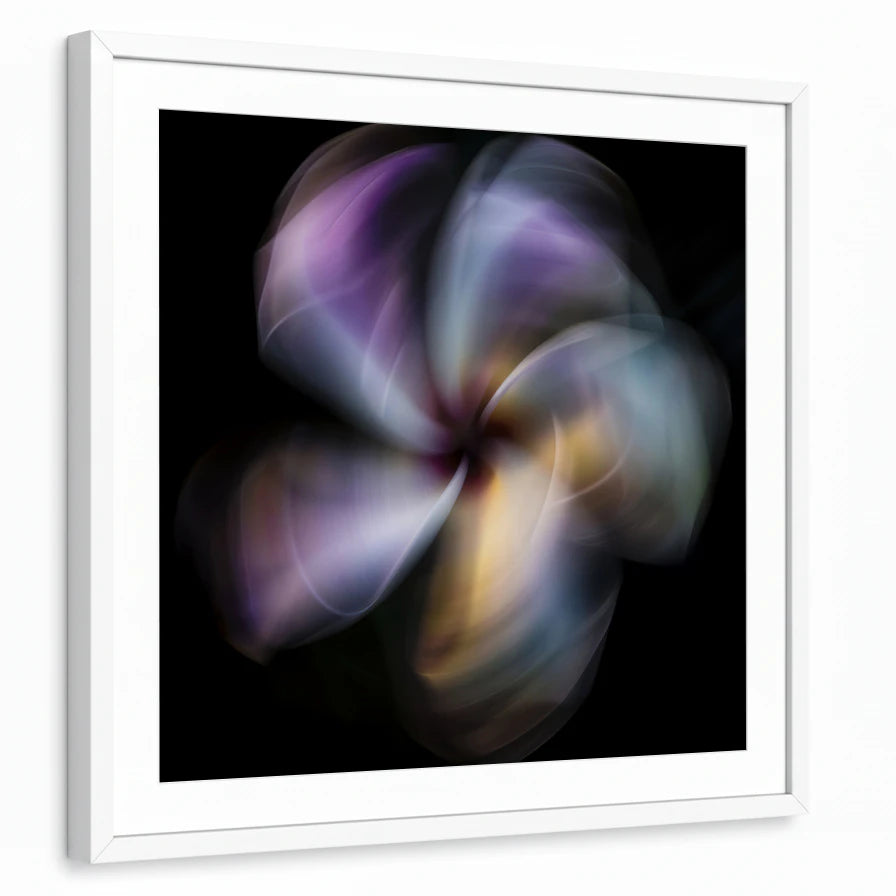 framed-print-white-white-border