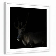framed-print-white-white-border