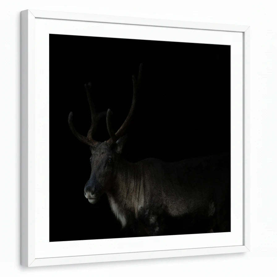 framed-print-white-white-border
