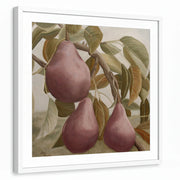framed-print-white-white-border