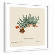 framed-print-white-white-border