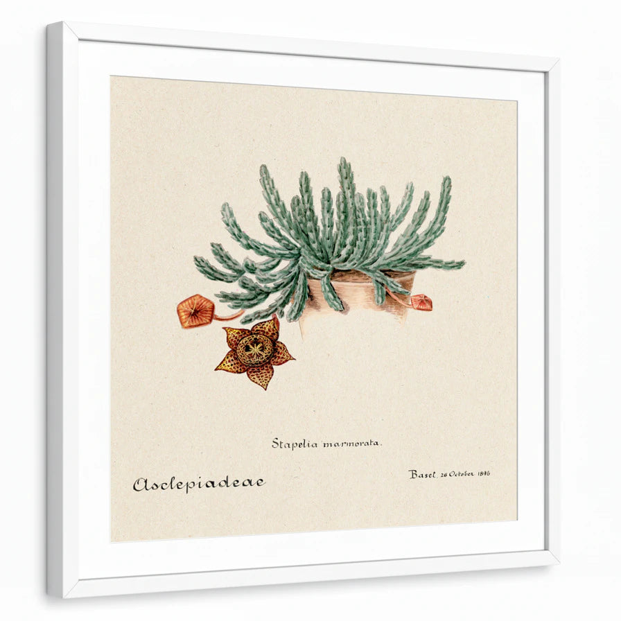 framed-print-white-white-border