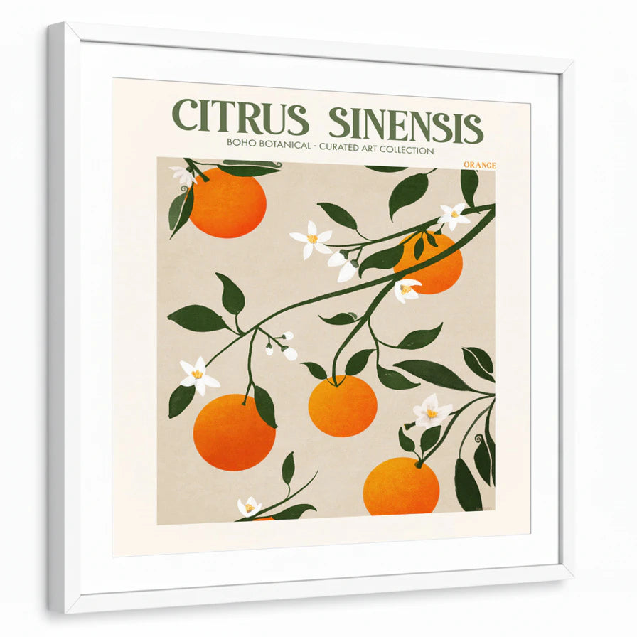 framed-print-white-white-border