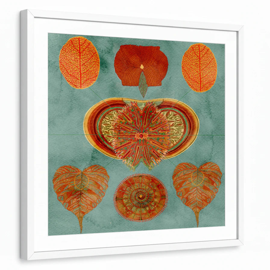 framed-print-white-white-border