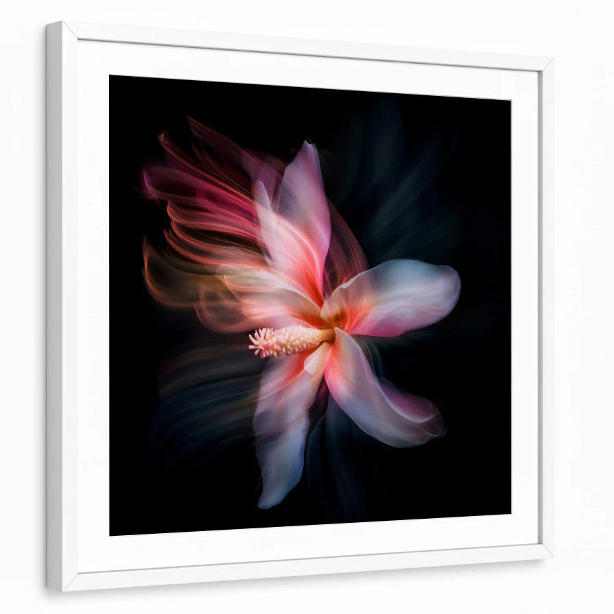 framed-print-white-white-border