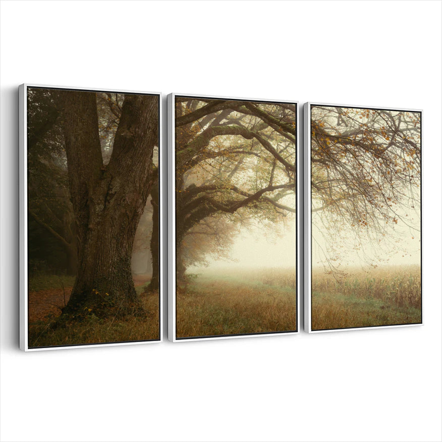 3-framed-print-white