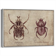 framed-canvas-white