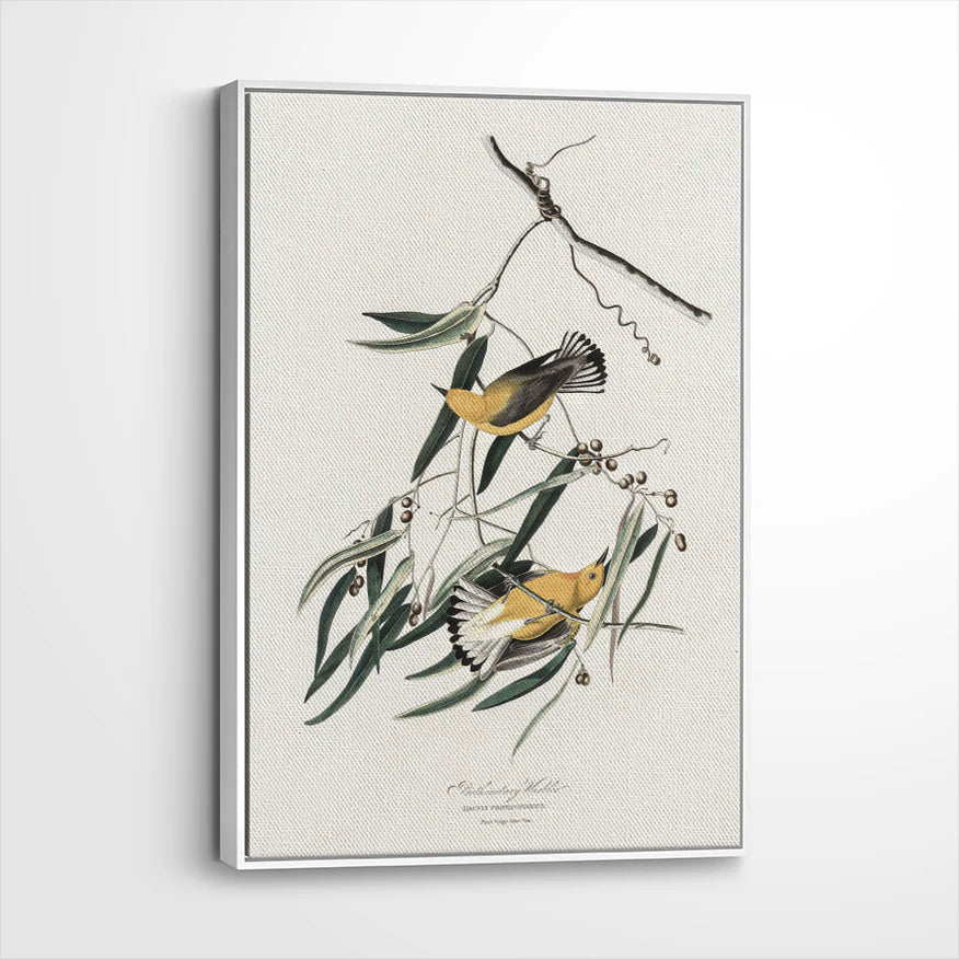 framed-canvas-white